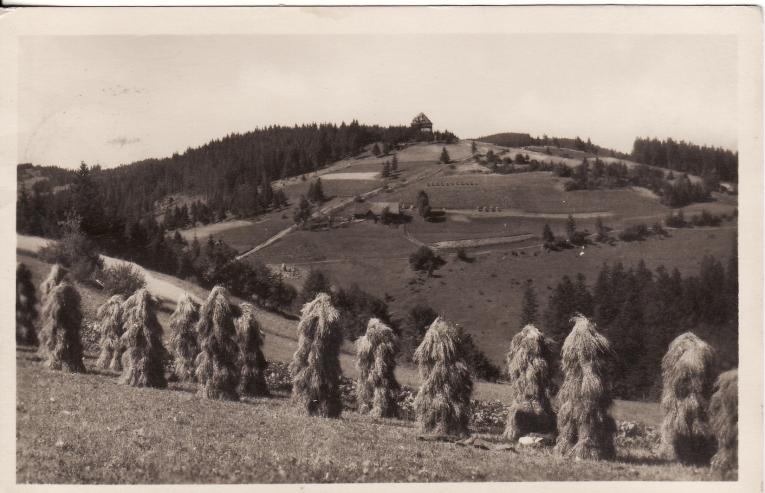 Louky a pastviny na dnes zalesněných svazích Beskyd Louky a pastviny na dnes zalesněných svazích Beskyd